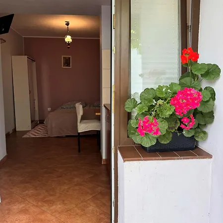 Snoch * Mielno (Koszalin)