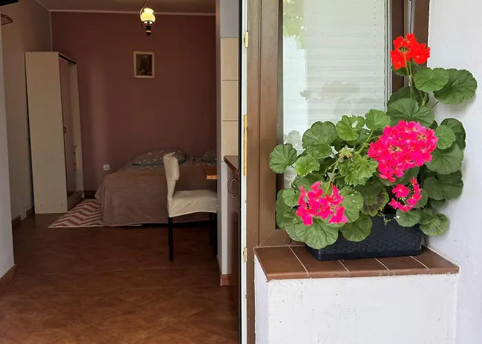 Snoch * Mielno (Koszalin)